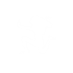 AIRU
