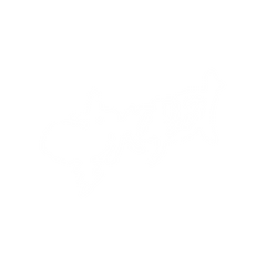 Txopet
