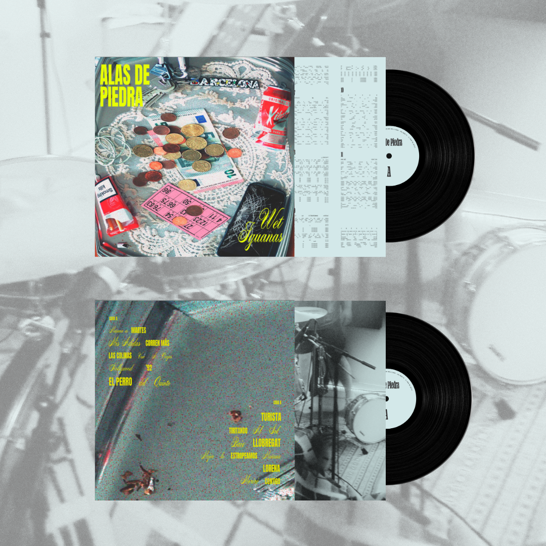 PREVENTA · Alas De Piedra · Vinilo